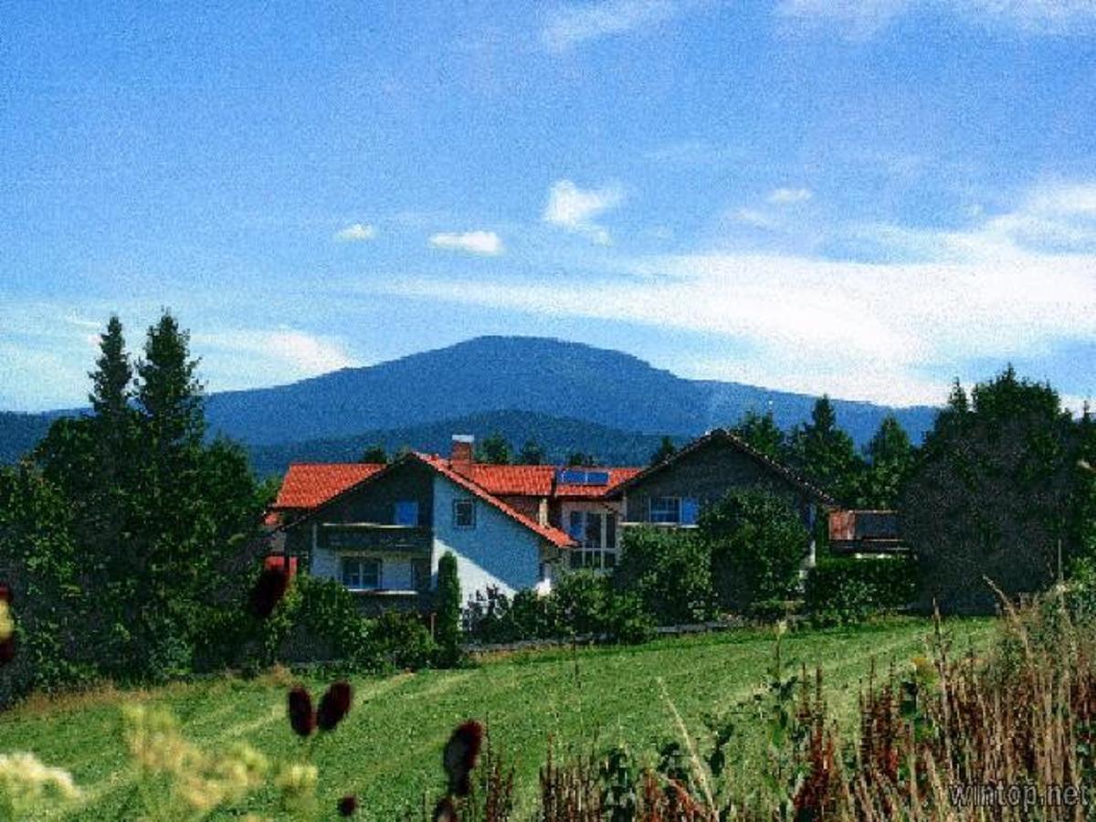 Pension Landhaus Hochfeld Zwiesel Eksteriør bilde